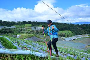 BIB: 8147
                            <button type="button" onclick="openModal(13380312)" class="btn btn-primary btn-sm float-right btn-popup" data-toggle="modal" data-target=".modal-high-quality">
                        <i class="fas fa-shopping-cart"></i> Add to Cart
                    </button>
                                            <button type="button" onclick="isThisMe(13380312, true)" class="btn btn-success btn-sm float-right btn-popup btn-isme hidden" data-toggle="tooltip" data-placement="bottom" title="นี่คือรูปของคุณใช่ไหม คลิกที่นี่เพื่อเอาเข้าอัลบั้ม">
                        <i class="fas fa-plus"></i> Add to album
                    </button>
                    <button type="button" onclick="isThisMe(13380312, false)" class="btn btn-warning btn-sm float-right btn-popup btn-isnotme hidden">
                        <i class="fas fa-ban"></i> Remove from album
                    </button>